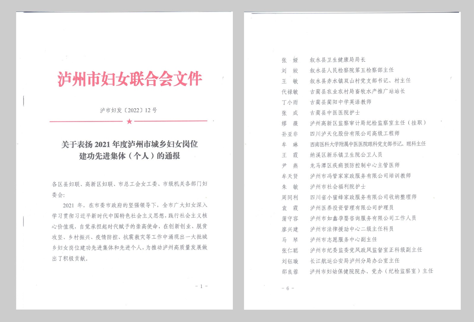 袁霞巾帼标兵.jpg