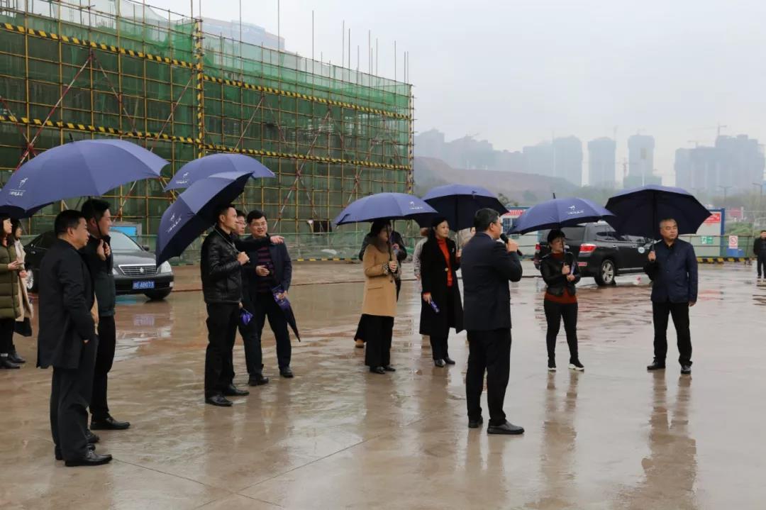 民政部养老服务咨询专家一行调研西南医投集团医养项目