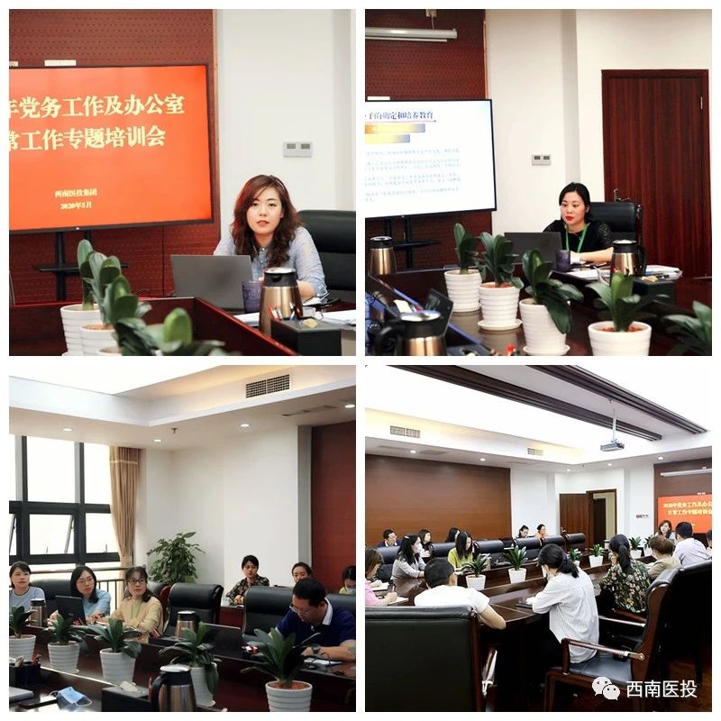 多举措夯实业务基础，高质量助推能力提升—西南医投集团举办党建及办公系统实务操作专题培训会