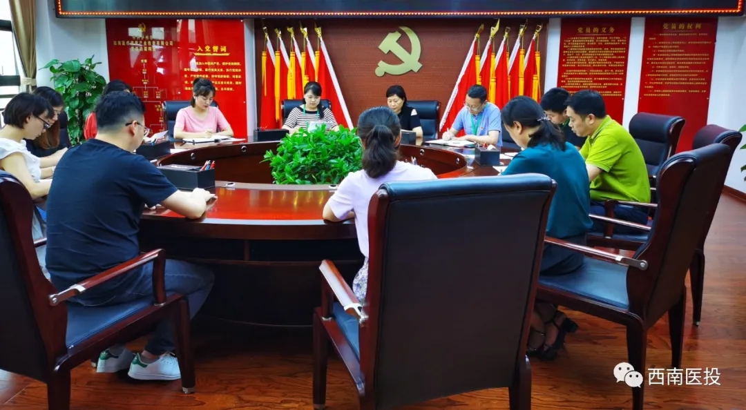 西南医投集团第二党支部开展“逐梦起新航，习近平寄语青年”党课活动
