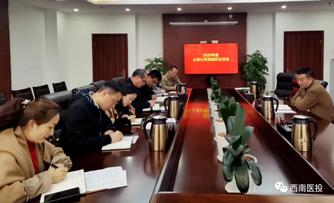 西南医投集团各基层党支部召开2020年度组织生活会、开展民主评议党员工作