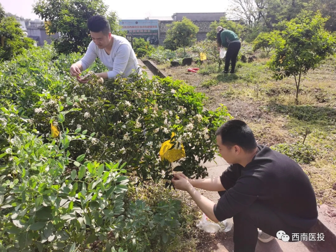 天植中药公司党支部开展党史学习教育
