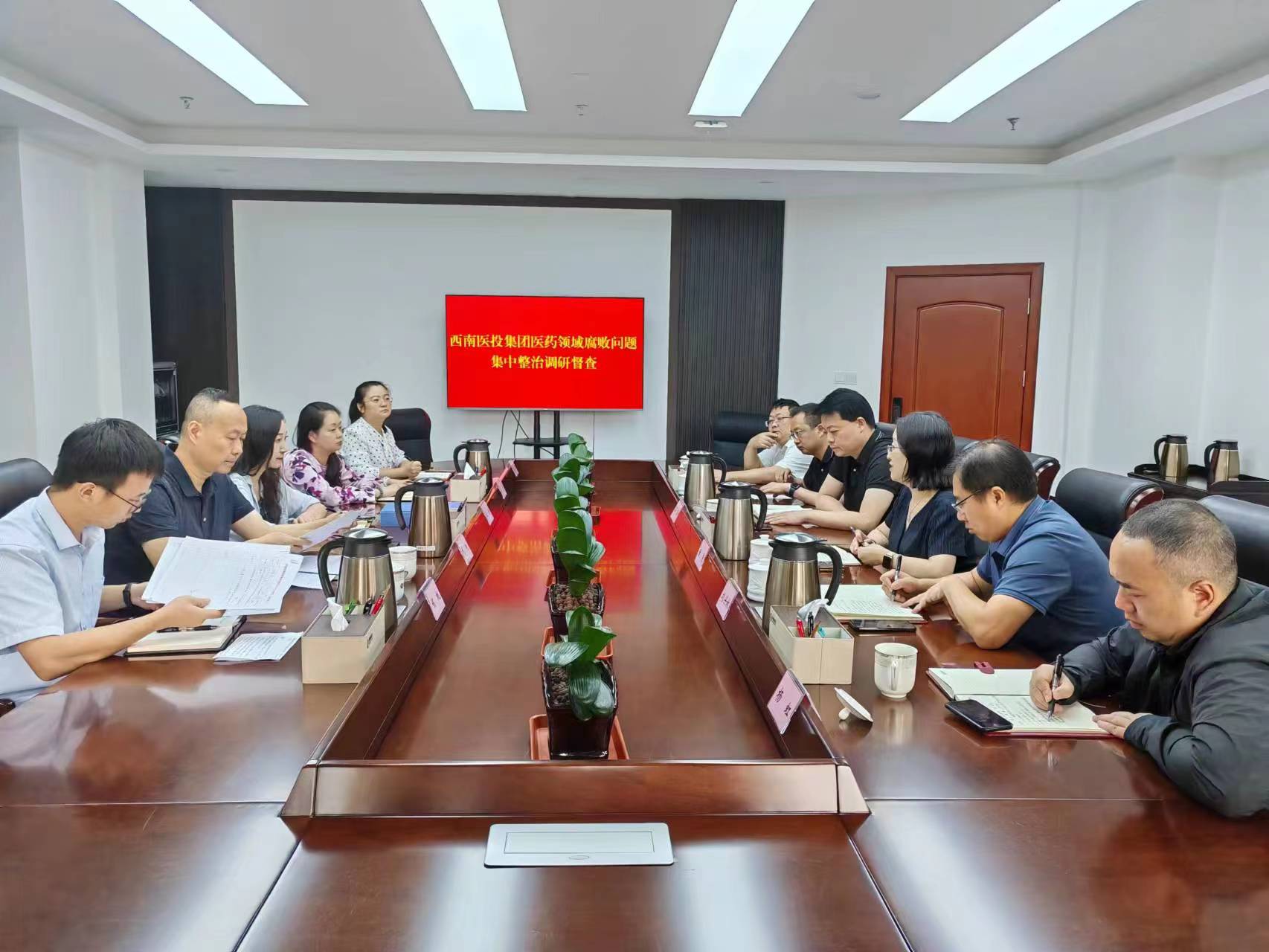 市纪委监委驻市国资委纪检监察组赴西南医投集团开展医药领域腐败问题集中整治调研督查